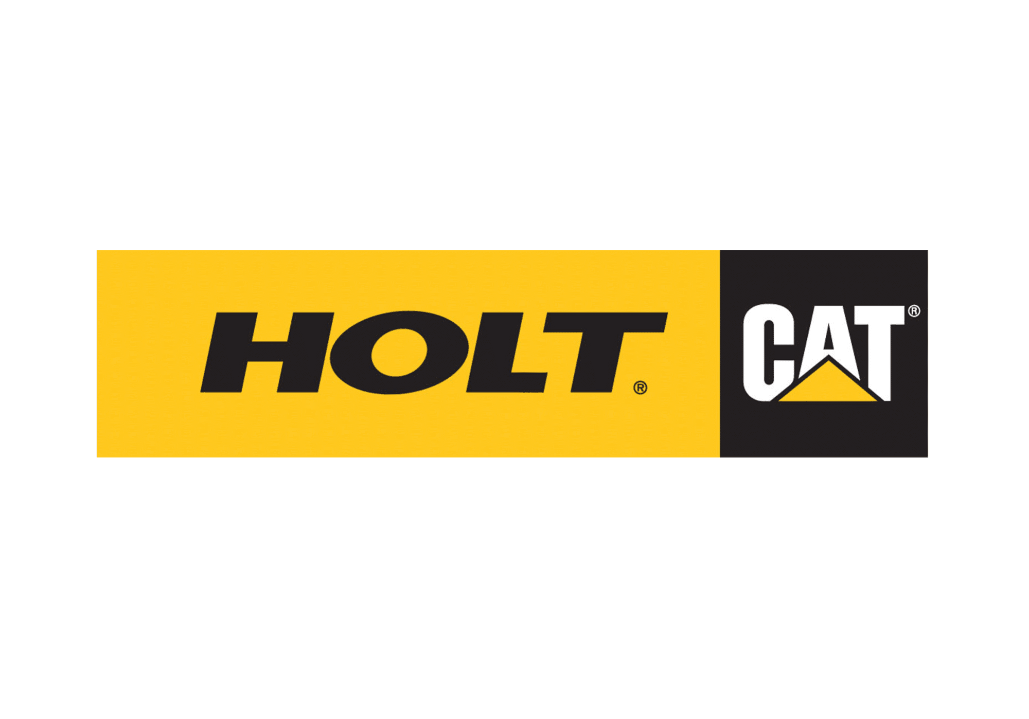 HoltCat e1576863529364